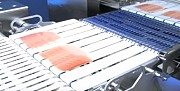 Роботизированная система для продуктов питания Weber Food Robot