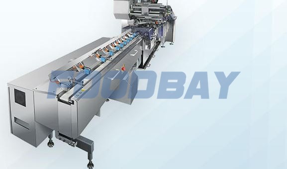 Автоматическая конвейерная линия Fuji FFS 1000N Нагоиа - изображение 1