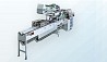 Automatic conveyor line Fuji FFS 150