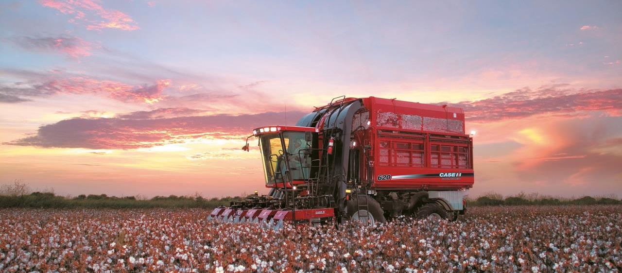 Cotton harvester Case IH Cotton Express 620