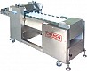 Machine for cutting whole fish at an angle CHTS-45