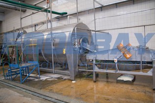 Green pea processing line (8000 kg / h) Moscow - picture 1