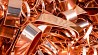 Copper alambic STILL SPIRITS POT STILL COPPER ALEMBIC