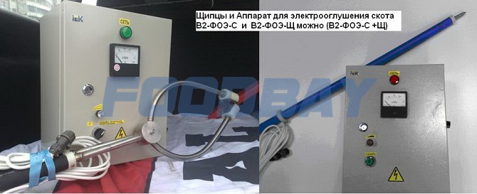 Das Gerät für den Stromschlag von Rindern B2-FOE Nizhny Novgorod - Bild 1