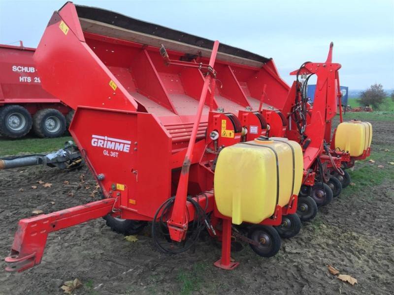Carrot Planter Grimme GL 36T (2011)