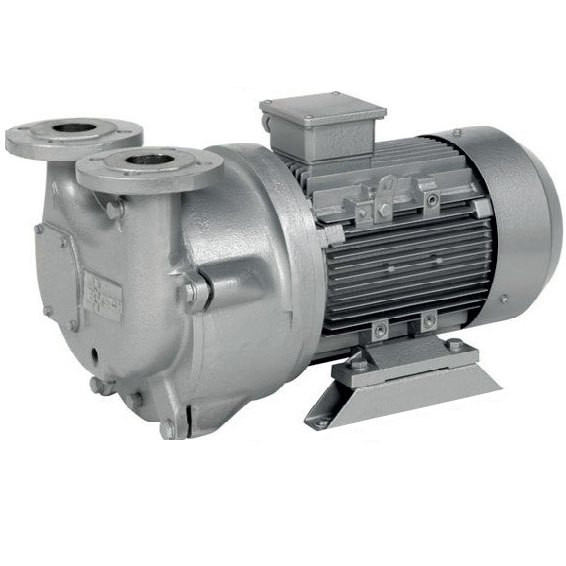 Busch Dolphin LU 0450 A liquid ring vacuum pumps (50 Hz) Moscow - picture 1