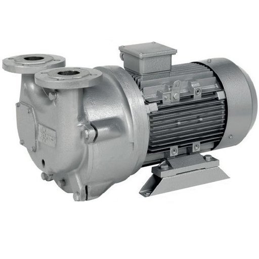 Vusch Dolphin LH 0150 A water ring vacuum pump (60 Hz) Moscow - picture 1