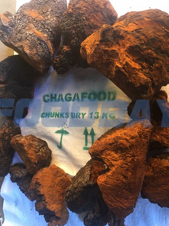 We will buy birch chaga in Yaroslavl, Kostroma and Moscow Moscow - picture 1