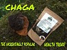 Chaga Birkenstücke und sublimierter Extrakt für den Export nach Korea, China, Vietnam, Europa usw.