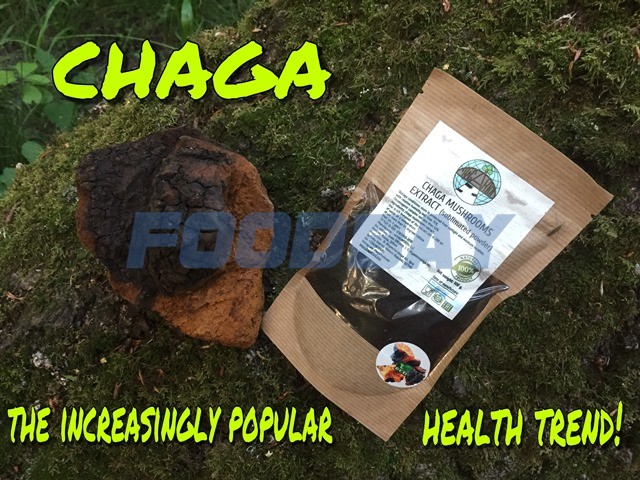 Chaga birch chunks and Sublimated Extract for export to Korea, China, Vietnam, Europe, etc. Moscow - picture 1