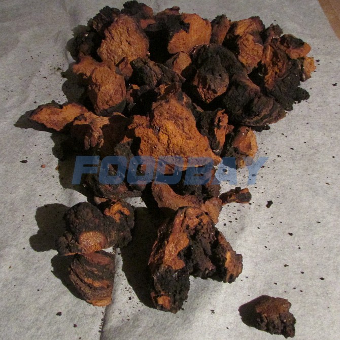 I will buy Chaga of a birch, pure, dry, crude wholesale Moscow - picture 1
