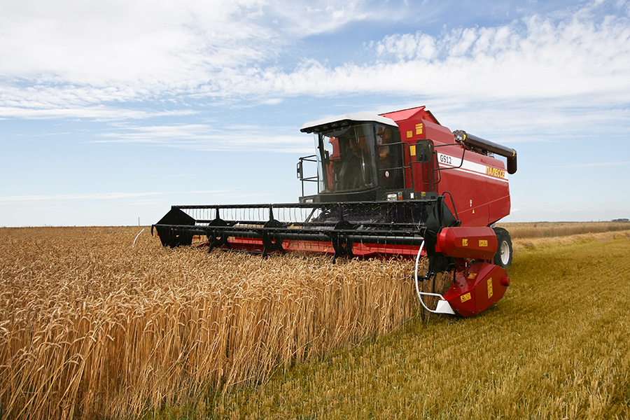 Combine harvester KZS Polesie-1218 (2011)