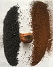 Chaga birch extract, freeze-dried, 1 kg