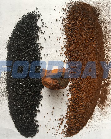 Chaga birch extract, freeze-dried, 1 kg Moscow - picture 1