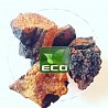 Chaga export under license of the Ministry of Industry and Trade