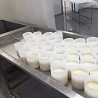 Sprzęt do produkcji serów mlecznych ze stali nierdzewnej AISI304, 316