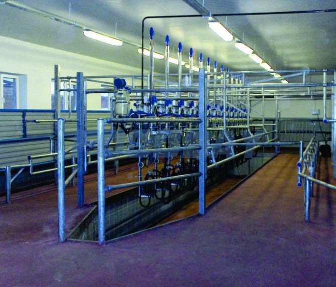 Fir-tree milking parlors Pavlovo - picture 1