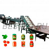 Turnkey Fruit and Vegetable Processing Lines
