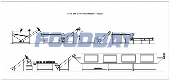 Production line for processing vegetables, potatoes, carrots, beets for shock freezing. Krasnodar - picture 1