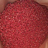 Семена кукурузы ТАР-349
