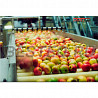Линия по переработке свежих яблок