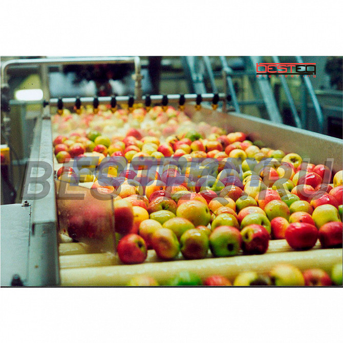 Линия по переработке свежих яблок Rostov-on-Don - Bild 1