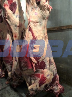 Мясо оптом  - изображение 1