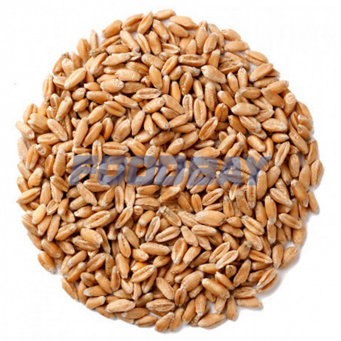 Реализуем Пшеницу Ufa - picture 1