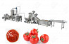 Автоматическая линия Gelgoog для производства томатной пасты и кетчупов