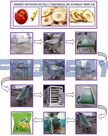 Линия для производства сушёных яблочных чипсов. Krasnodar - picture 1