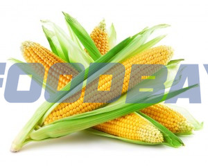 Реализуем Кукурузу 1, 2 класса, качество ГОСТ.  - изображение 1