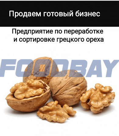 Продаем предприятие по переработке и сортировке грецкого ореха Киев - изображение 1