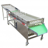 Машина для сортировки/калибровки овощей и фруктов Vega Sorting H2000