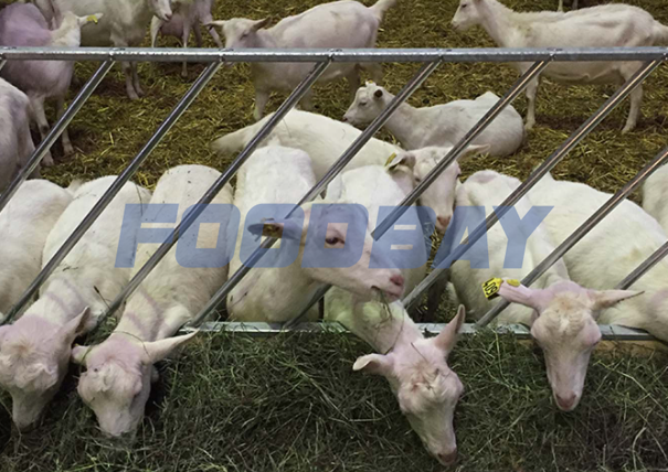 Кормовая диагональная решетка для коз и овец Екатеринбург - изображение 1