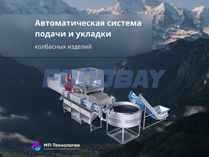 Однопоточная линия укладки сосисок Москва - зображення 1