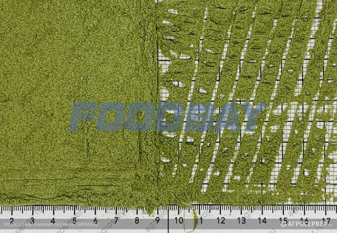 Лук зеленый порошок Korolev - picture 1
