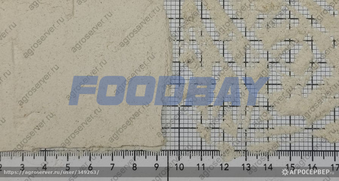 Хрен порошок Korolev - picture 1