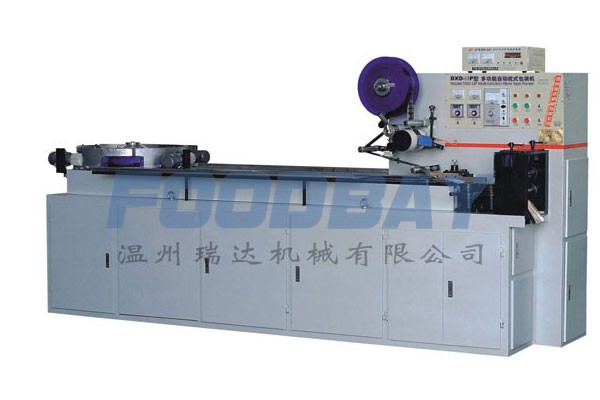 Multifunctional Automatic Packing Machine DXD-Ⅱ P Rizhao - picture 1