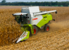 Header for combine harvesters CLAAS Standard reapers