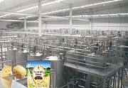 Triowin Cheese Production Lines