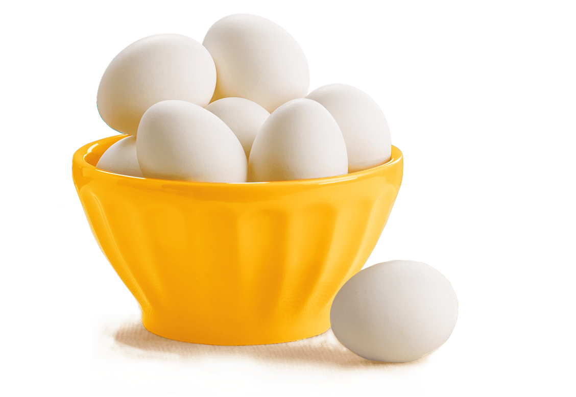 Яйца оптом