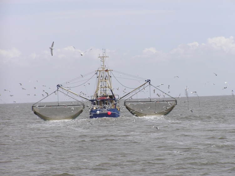 Рыболовство в странах ЕС
