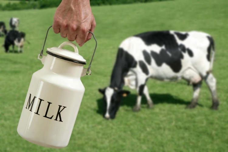 IT-технологии внедряются и в сферу переработки молока