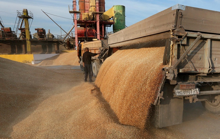 Экспорт российского зерна достиг дореволюционных объёмов