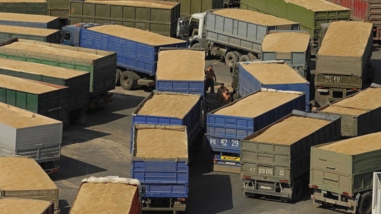 Ведущие экспортёры российского зерна