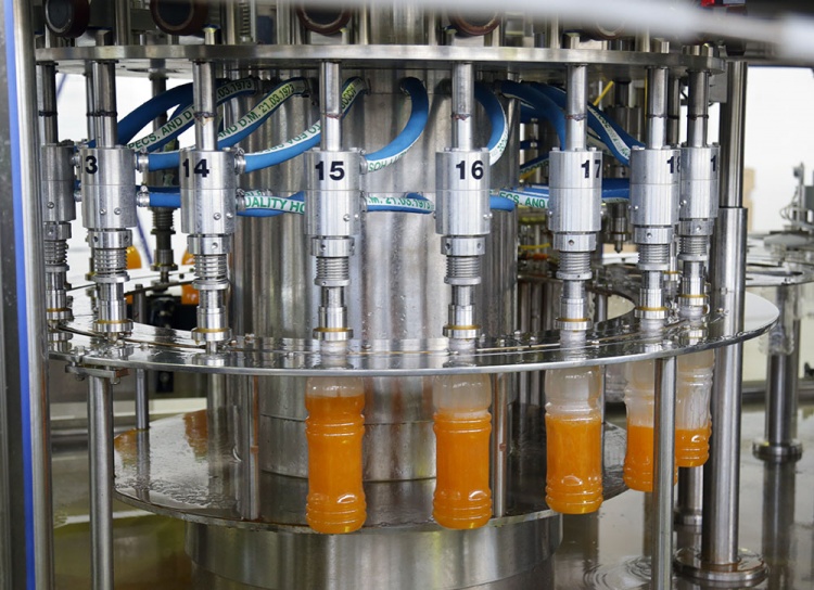 Практическое задание по теме Производство сока яблочного натурального с мякотью