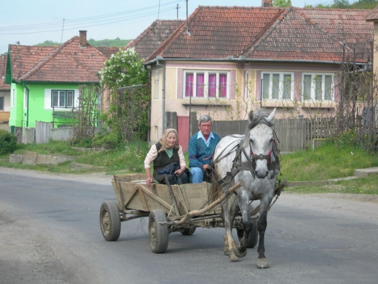 Запрет молочной продукции