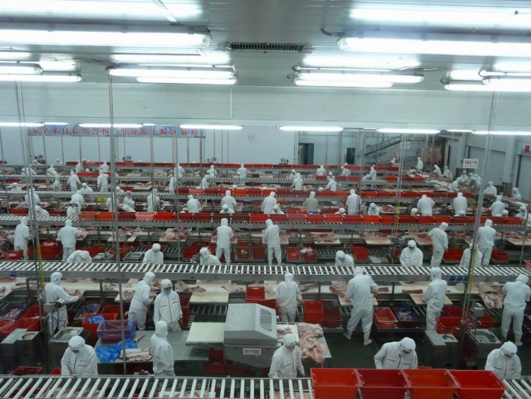 Агро Белогорье Продажа Техники Бу