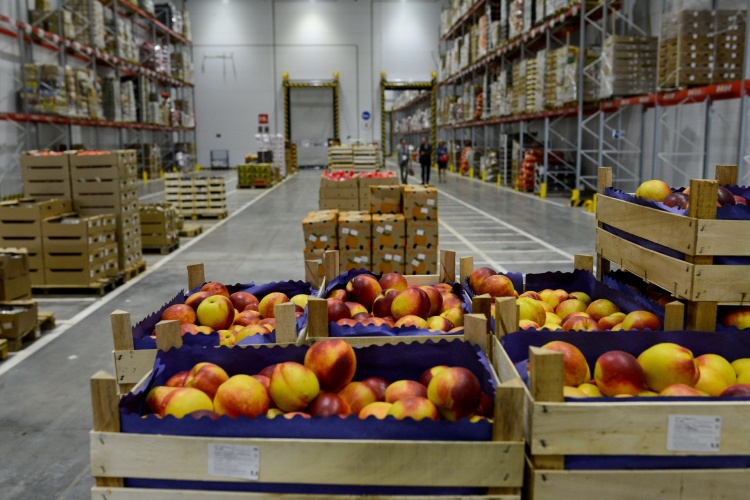 Выставка Fruit Logistica 2018