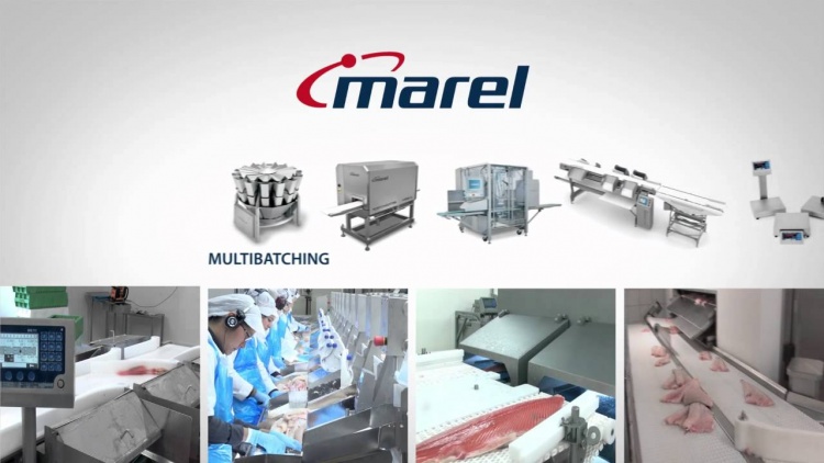 Marel